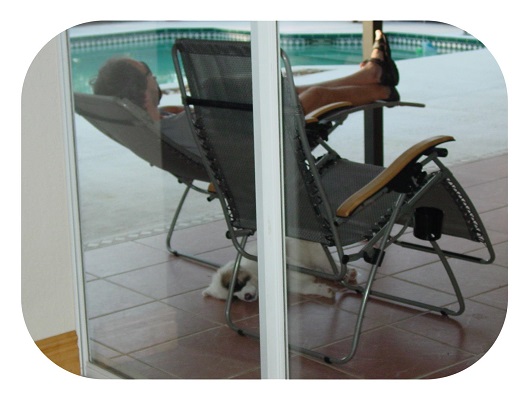 Koa joins Dave for a nap beneath lawn chair